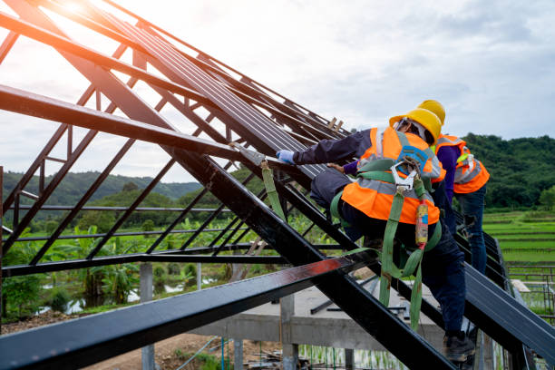 Best Flat Roof Repair Services  in Douglas, MI