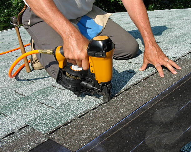 Best Roof Leak Repair  in Douglas, MI