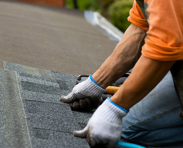 Best New Roof Installation  in Douglas, MI